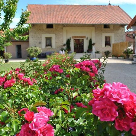 Bed and Breakfast La Besace Sainte-Croix  Exterior foto