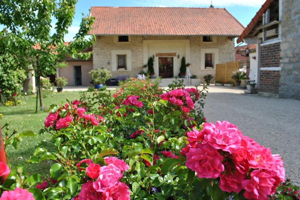 Bed and Breakfast La Besace Sainte-Croix  Exterior foto